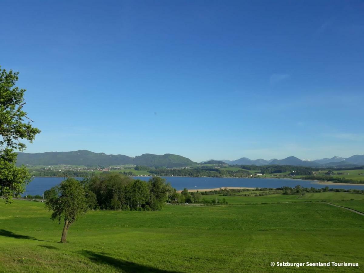 Pp-Camping Wallersee Зекірхен-ам-Валлерзе Екстер'єр фото