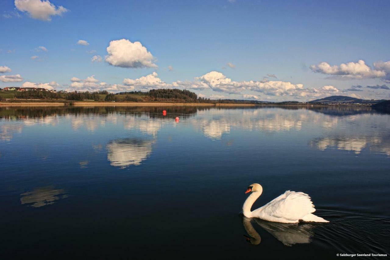 Pp-Camping Wallersee Зекірхен-ам-Валлерзе Екстер'єр фото