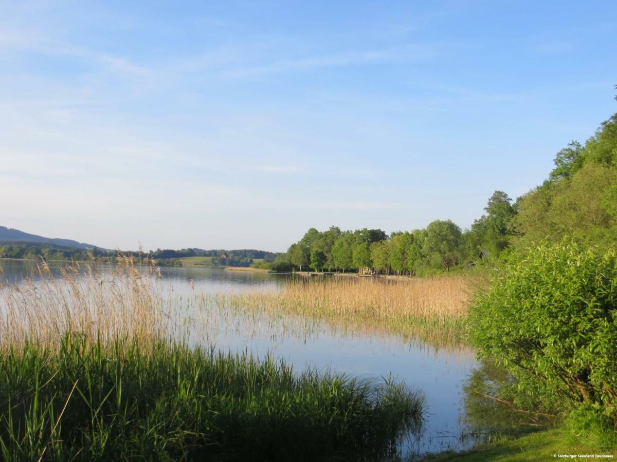 Pp-Camping Wallersee Зекірхен-ам-Валлерзе Екстер'єр фото